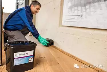 老鼠管理培训教程(四):老鼠的处理(下)